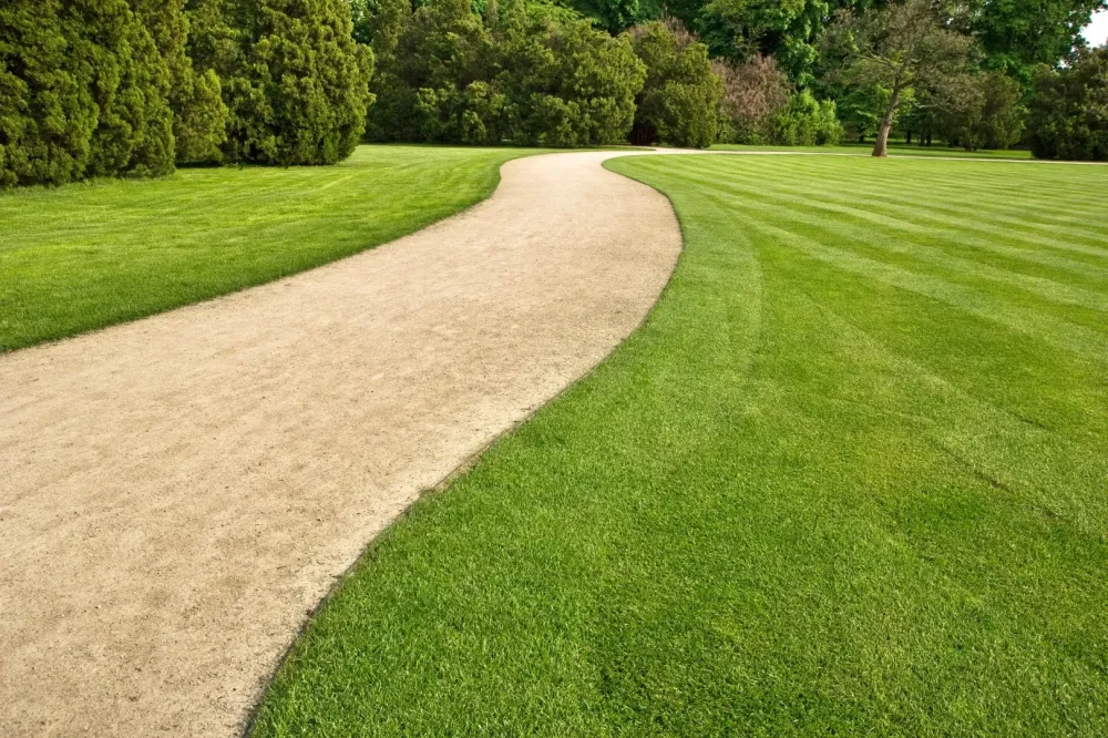 chemin-parc